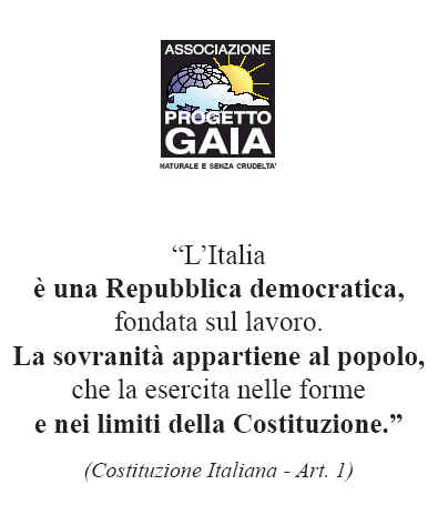 T-shirt girocollo - Costituzione - LItalia  una Repubblica democratica...