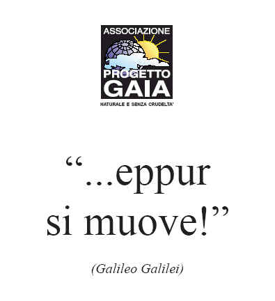 T-shirt girocollo - Galileo - ...eppur si muove!