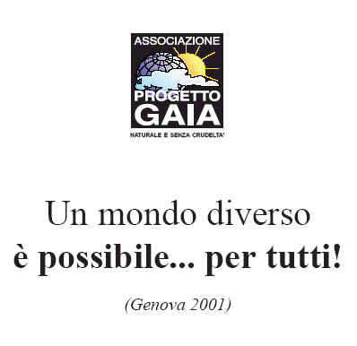 T-shirt girocollo - Genova 2001 - Un mondo diverso...