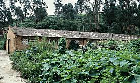 An exterior view of a typical bear farm in Yunan Province