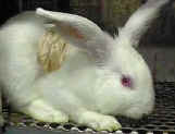 E' ora di smetterla!