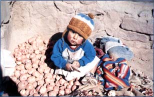 Firma la Petizione al Vertce FAO per un' Alimentazione sostenibile!
