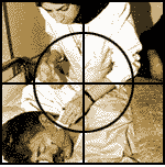 cambia.gif (63709 byte)
