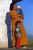 donnabimbi1.jpg (15756 byte)