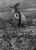 nowar2.jpg (30240 byte)