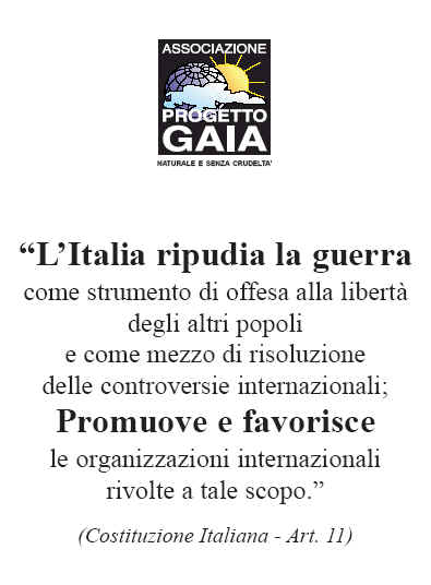 T-shirt girocollo - Costituzione - LItalia ripudia la guerra...