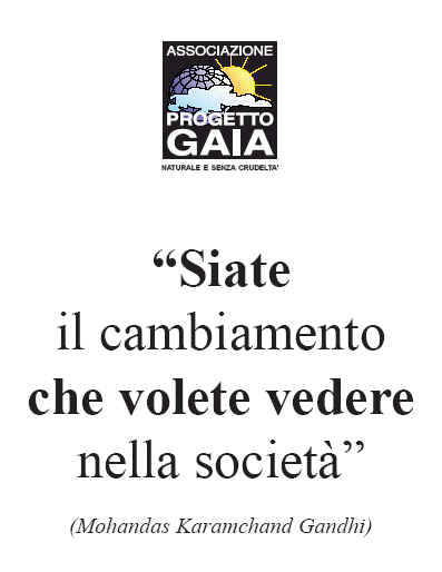 T-shirt girocollo - Ghandi - Siate il cambiamento che volete...