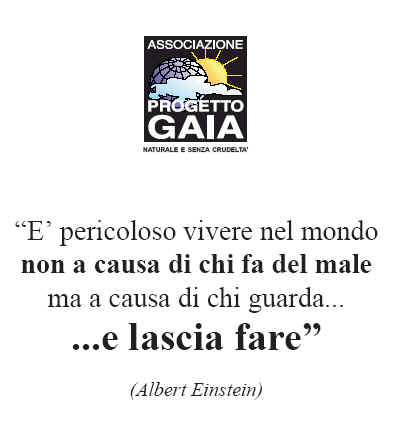 T-shirt girocollo - Einstein - E pericoloso vivere nel mondo...