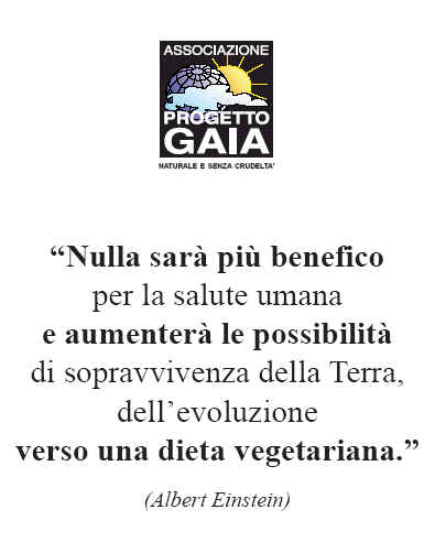 T-shirt girocollo - Einstein - Nulla sar pi benefico...