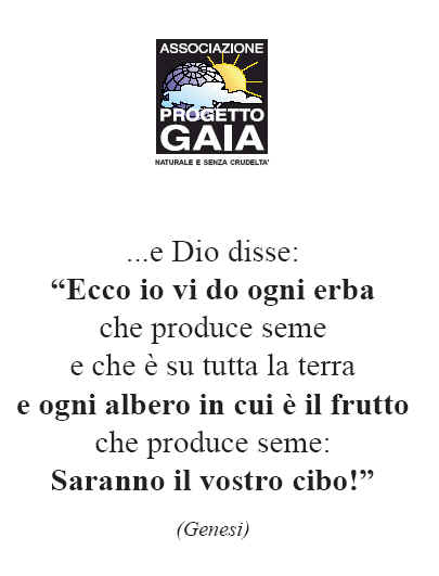 T-shirt girocollo - Genesi - ...e Dio disse...