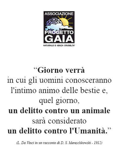 T-shirt girocollo - Leonardo - Giorno verr in cui gli uomini...