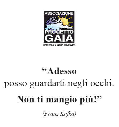 T-shirt girocollo - Kafka - Adesso posso guardarti...