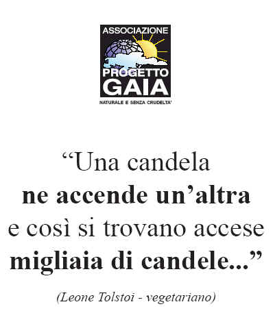 T-shirt girocollo - Tolstoi - Una candela ne accende...