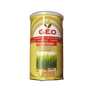 Bavicchi - Semi da germogliare - Grano - 750 gr