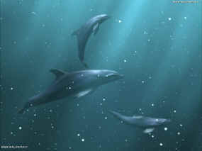 delfini1.jpg (4590 byte)
